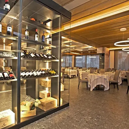 Palace Wellness & Beauty فندق