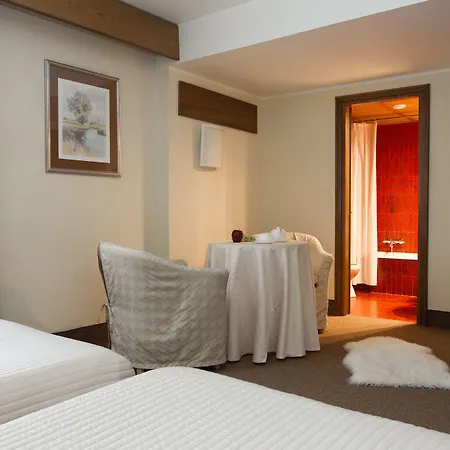 Palace Wellness & Beauty 4*