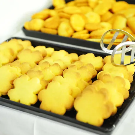 Hotel Palace Wellness & Beauty 4*