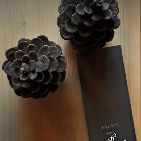 Palace Wellness & Beauty 4*