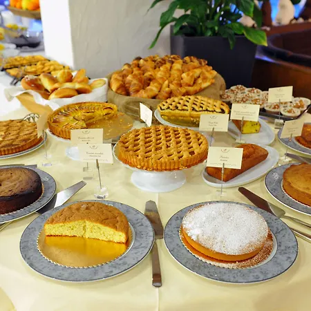 Palace Wellness & Beauty 4*