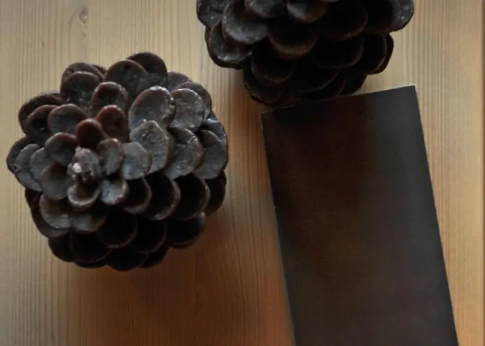 Palace Wellness & Beauty 4*